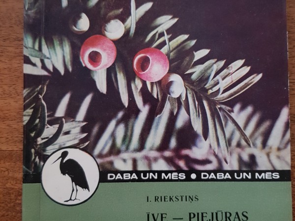 Īve - piejūras mežu pērle