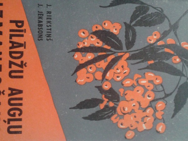 Pīlādžu augļu izmantošana