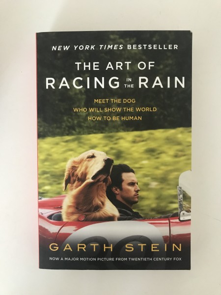 The art of racing in the rain