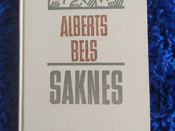 Saknes