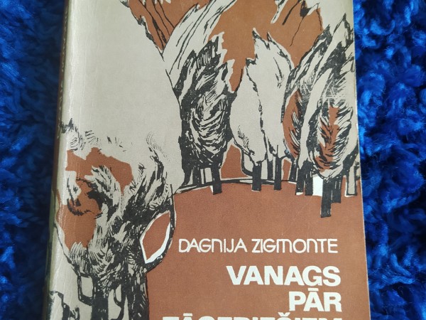 Vanags pār zāģeriešiem