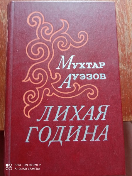 Лихая година