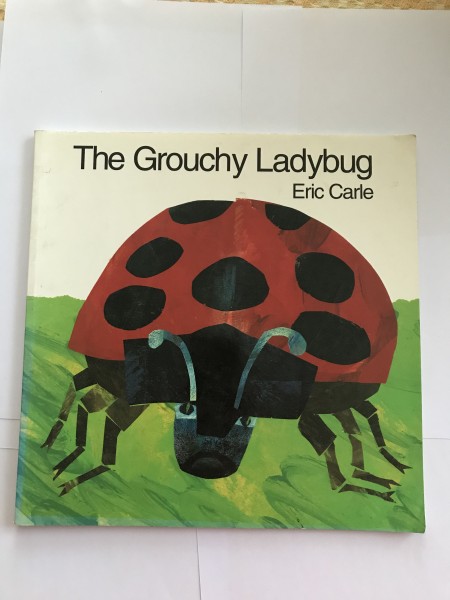 The Grouchy Ladybug