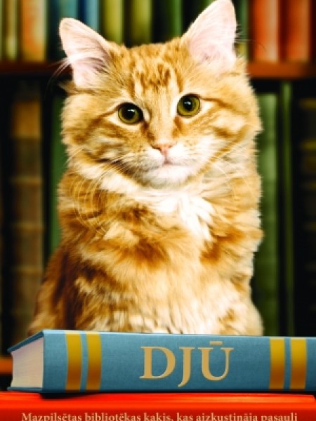 Djū. Mazpilsētas bibliotēkas kaķis, kas aizkustināja pasauli
