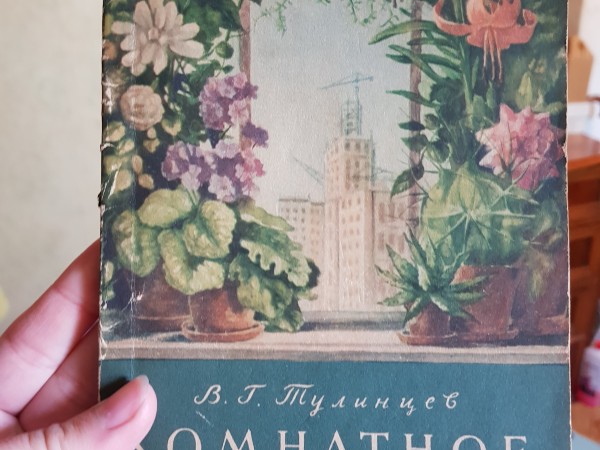 Комнатное цветоводство