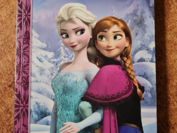 Ledus sirds: Mazais romāns