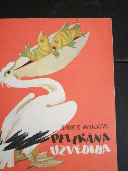 Pelikāna uzvedība