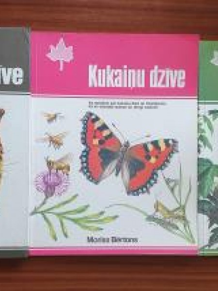 Putnu, Kukaiņu, Plēsiīgo zvēru dzīve