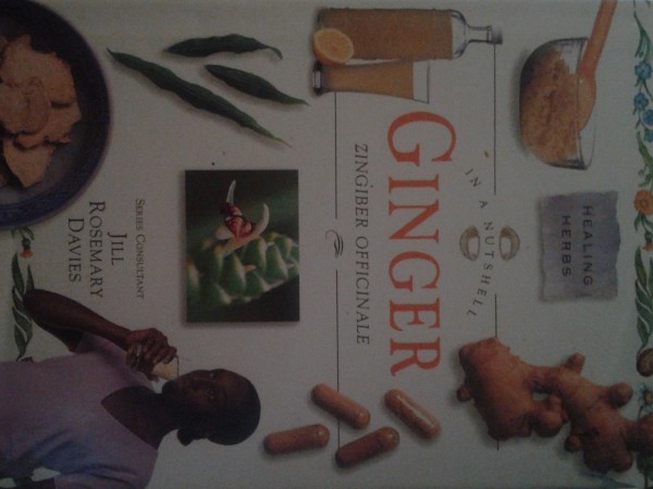 In a Nutshell-Healing Herbs: Ginger