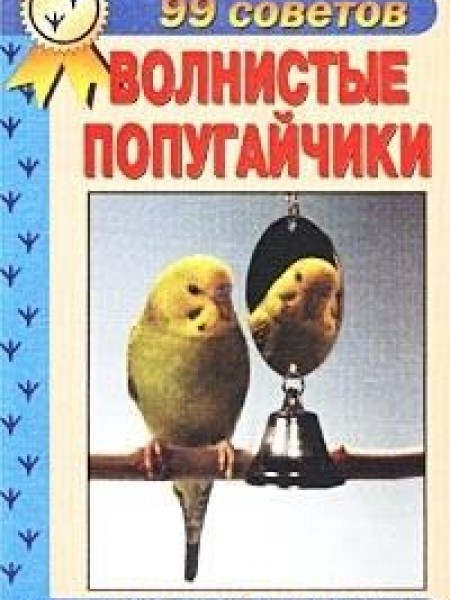 Волнистые попугайчики