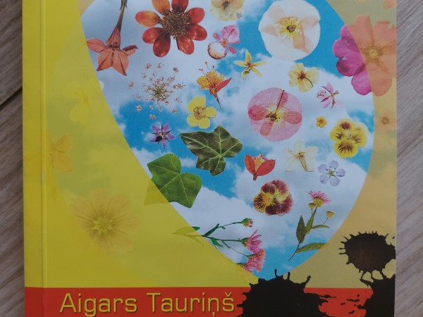 Vasara Bumbieros (Lata romāns)