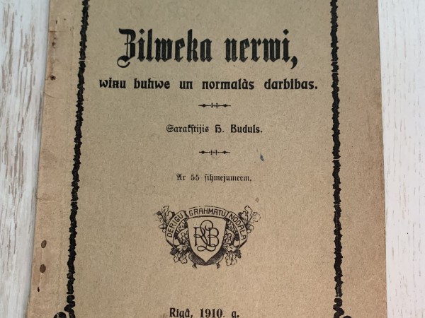Cilvēka nervi, viņu būve un normalās darbības