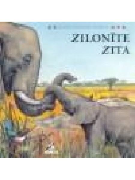 Zilonīte Zita