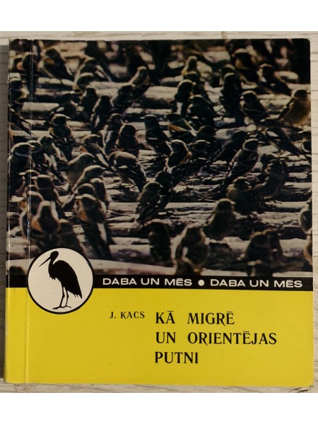 Kā migrē un orientējas putni