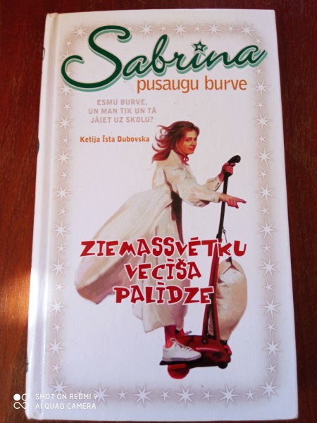 Ziemassvētku vecīša palīdze