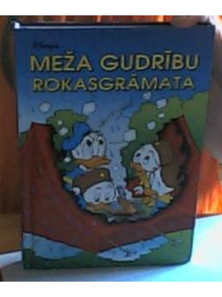 Disney's Meža gudrību rokasgrāmata