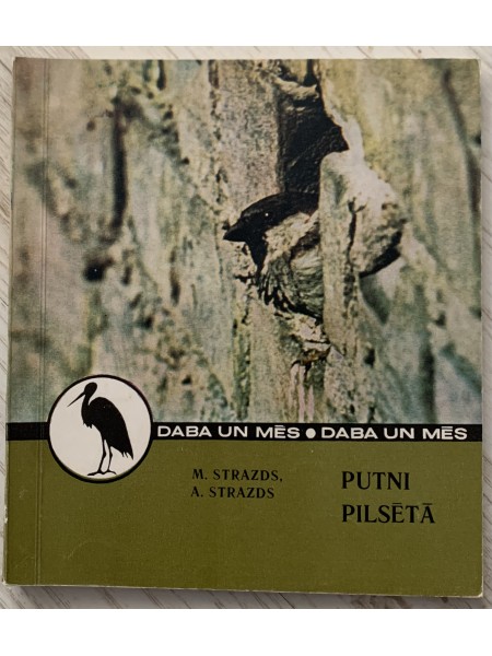 Putni pilsētā