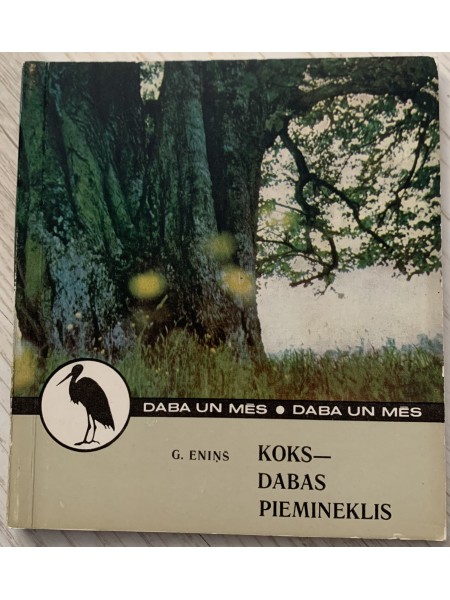 Koks - dabas piemineklis
