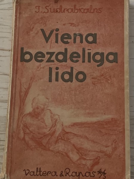 Viena bezdelīga lido