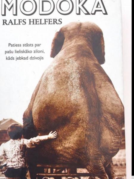 Modoka