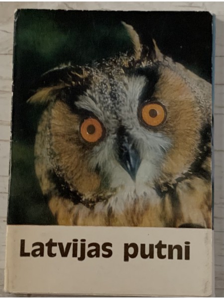 Latvijas putni
