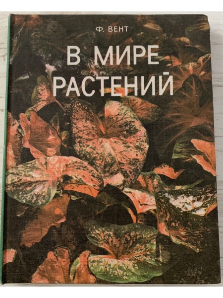 В мире растений