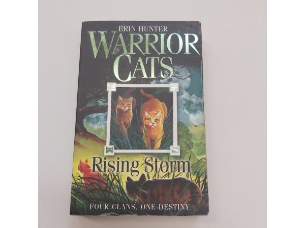 Warrior cats Rising storm