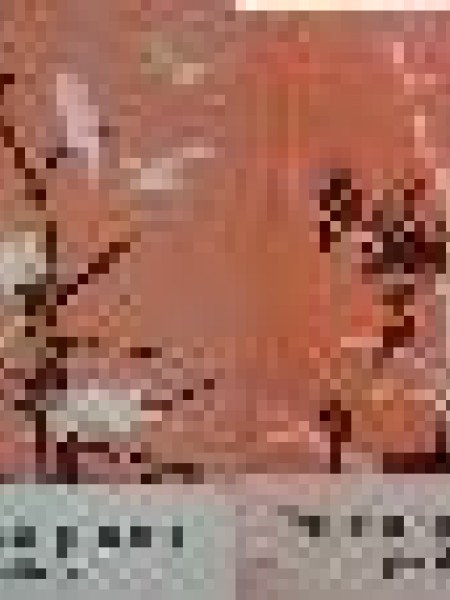 2in1 Koku un Putnu pasakas / Putnu un Koku pasakas