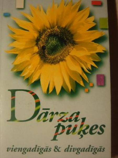 Dārza puķes.