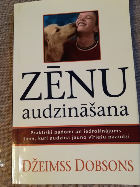 Zēnu audzināšana