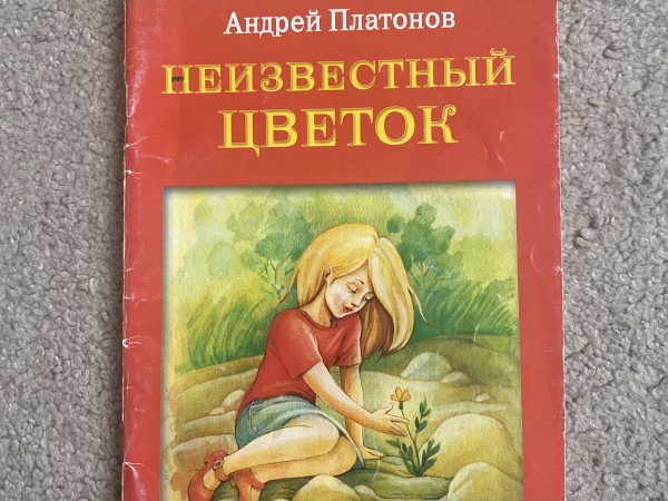 неизвестный цветок