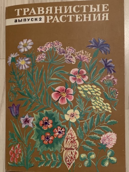 Травянистые растения