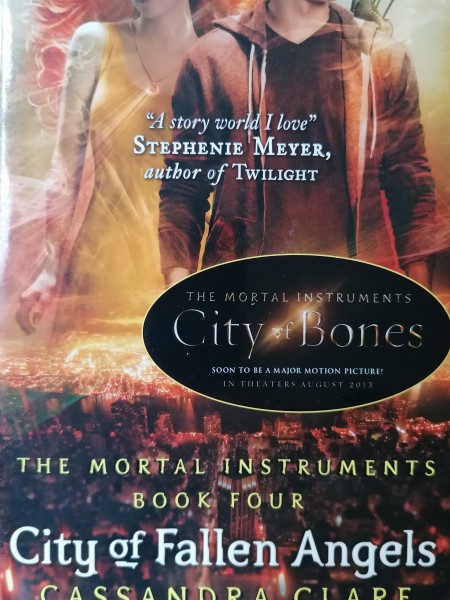 City of Fallen Angels