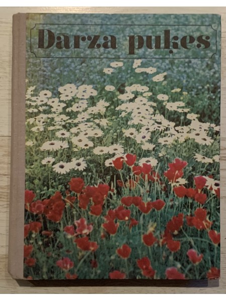 Dārza puķes