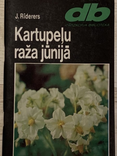 Kartupeļu raža jūnijā