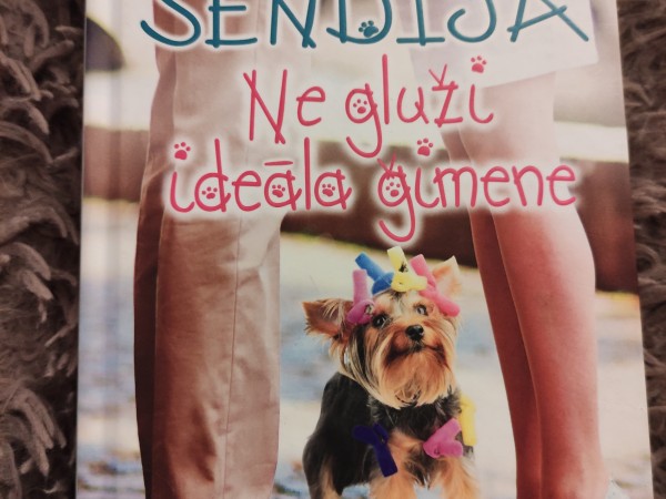 Ne gluži ideāla ģimene