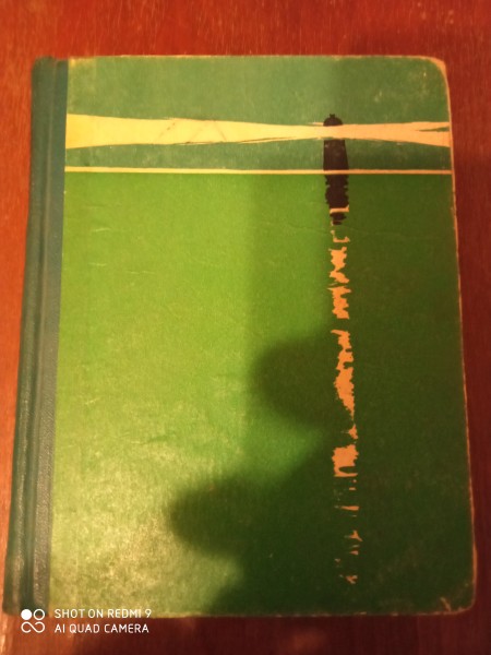 Liesmo zilā uguntiņa