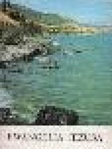 Poļu-Latviešu vardnīca