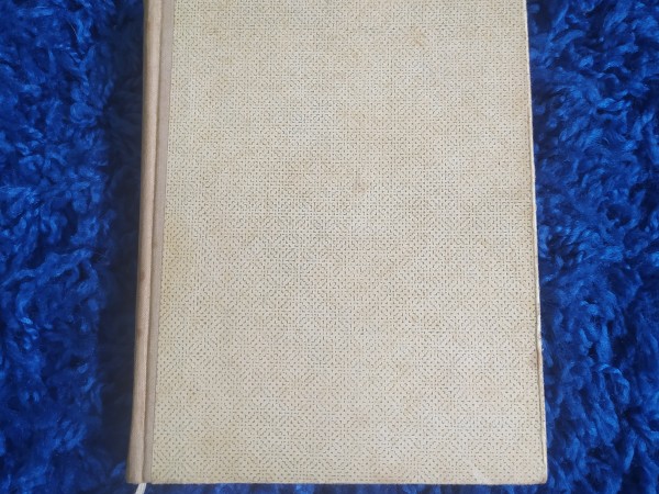 Vienas vasaras akvareļi