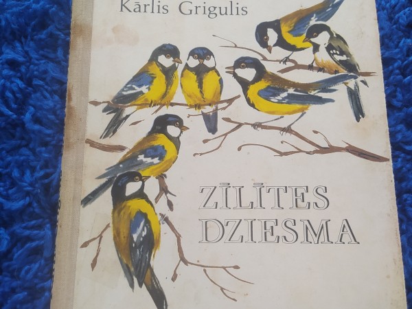 Zīlītes dziesma