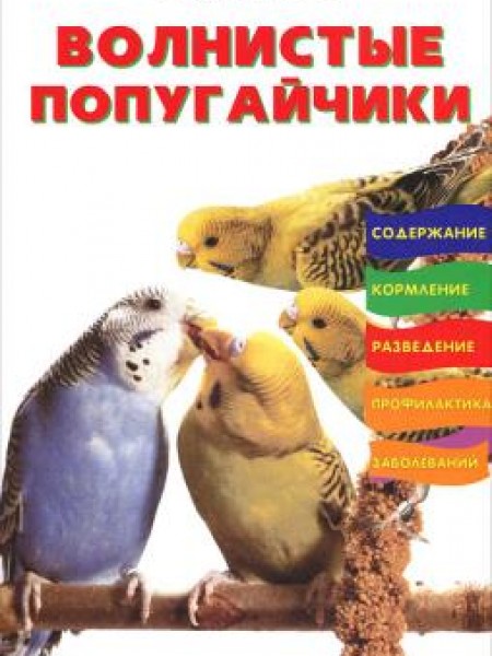 Волнистые попугайчики