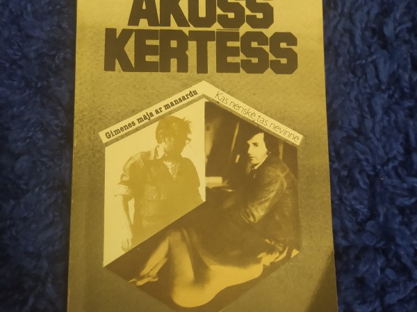 Ģimenes māja ar mansardu. Kas neriskē, tas nevinnē