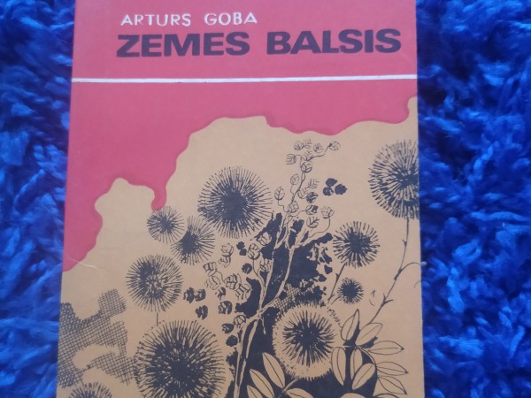 Zemes balsis