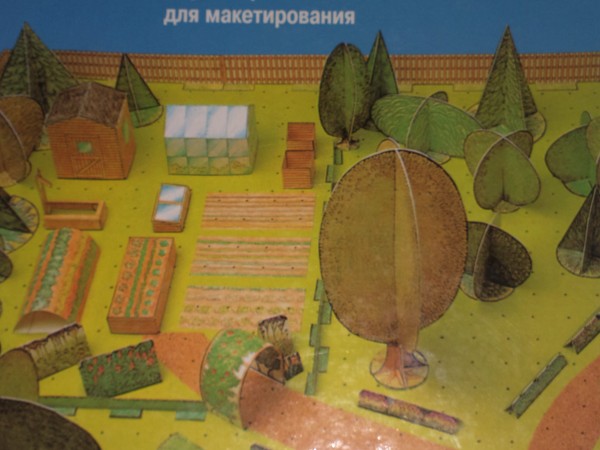 Современное оформление сада