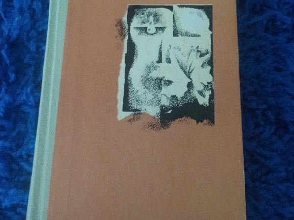 Raganas māju remontēs