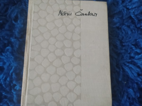 Kājāmgājējs un mūžība