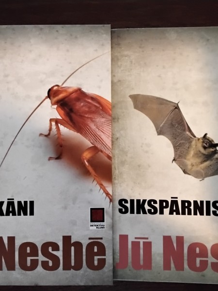 Tarakāni / Sikspārnis