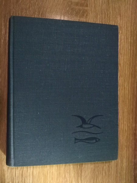 Tikšanās ar okeānu