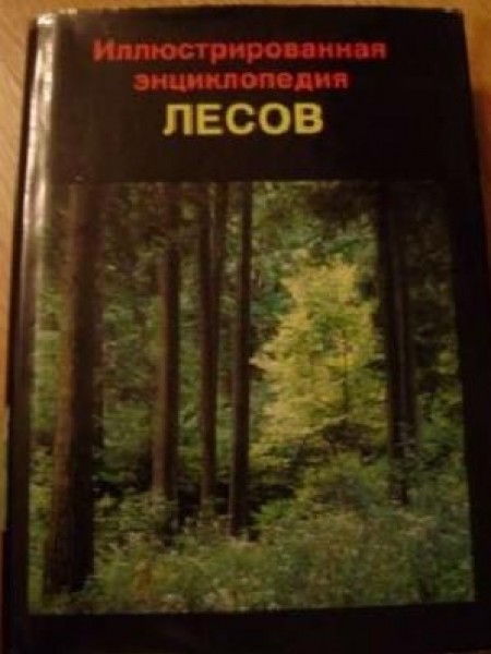 Иллюстрированная энциклопедия лесов