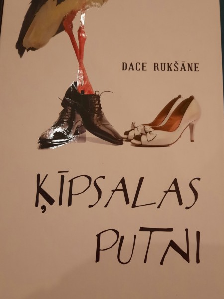 Dace ruksane kipsalas putni